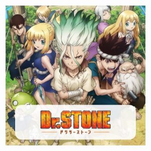 Dr Stone Rugs